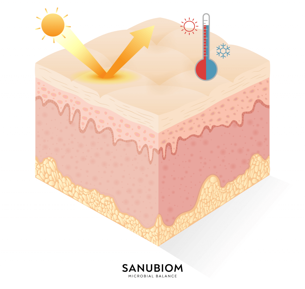 Thermoregulator - the skin protects the skin from overheating and heat loss