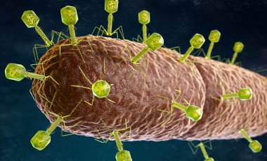 Welche Alternativen gibt es zu Antibiotika bei Rosacea?