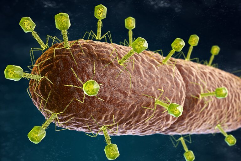 Welche Alternativen gibt es zu Antibiotika bei Rosacea?