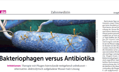 Artikel über Bakteriophagen versus Antibiotika