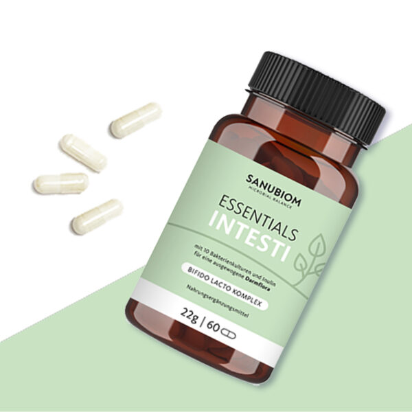 ESSENTIALS INTESTI